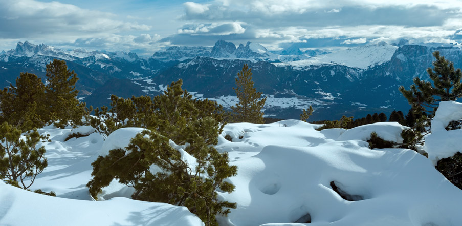 Kleinfein Hotels Suedtirol Skigebiete Skiurlaub Bozen Rittner Horn Freepik