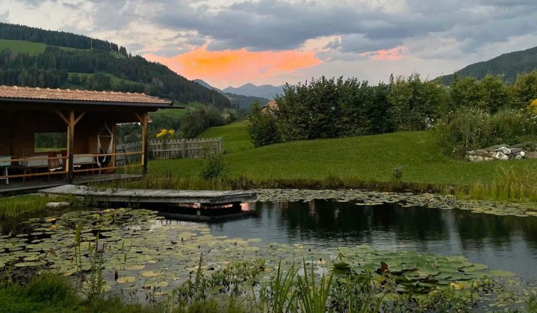 a pond with lily pads and a building in the background